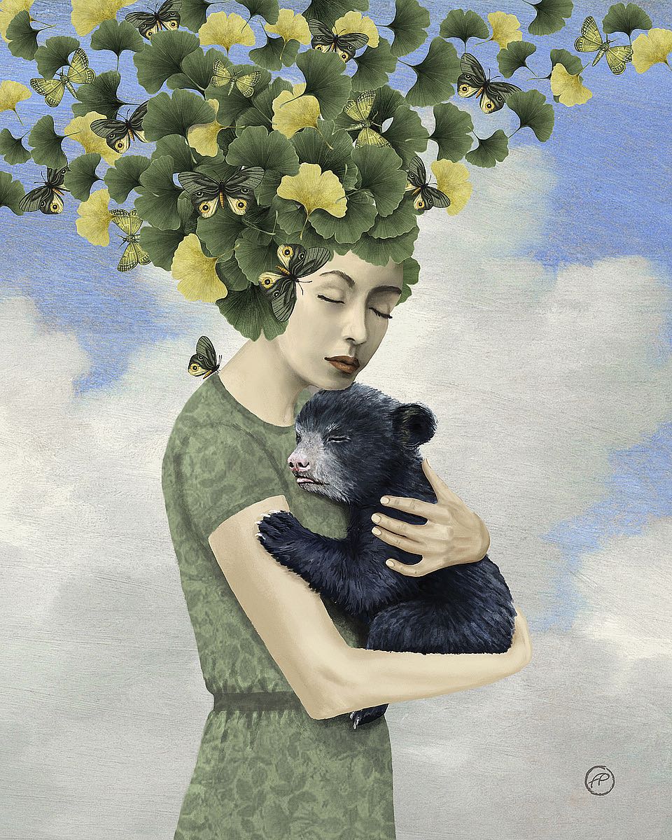 You Are Safe - Bear