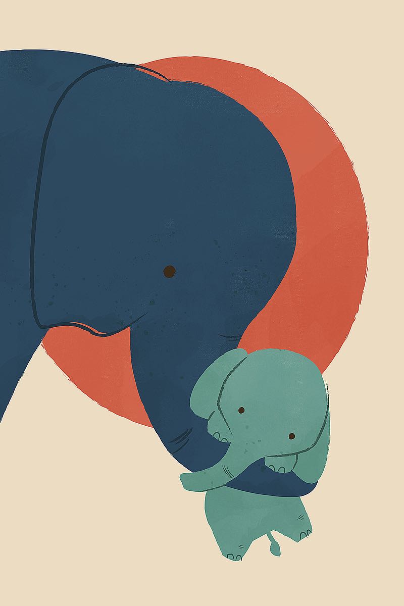 Baby Elephant 2