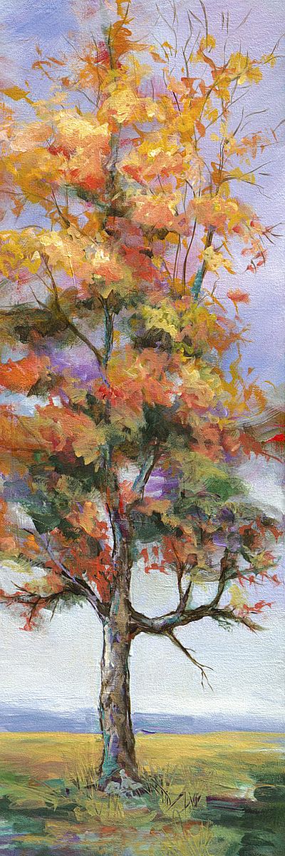 Fall Foliage