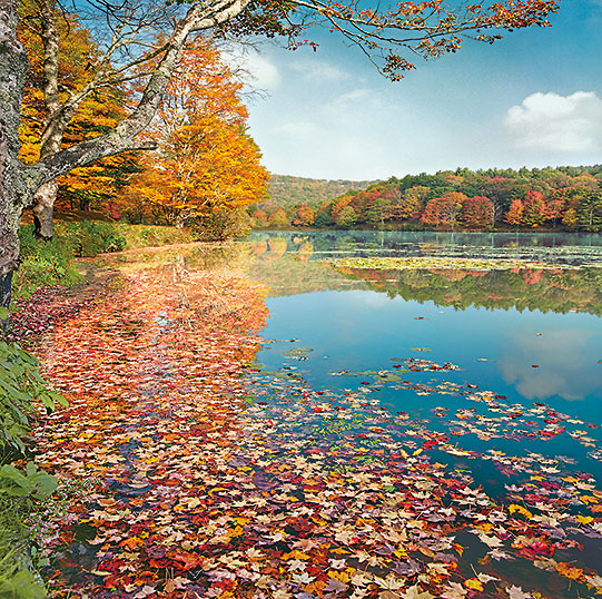 Bass Lake in Autumn II