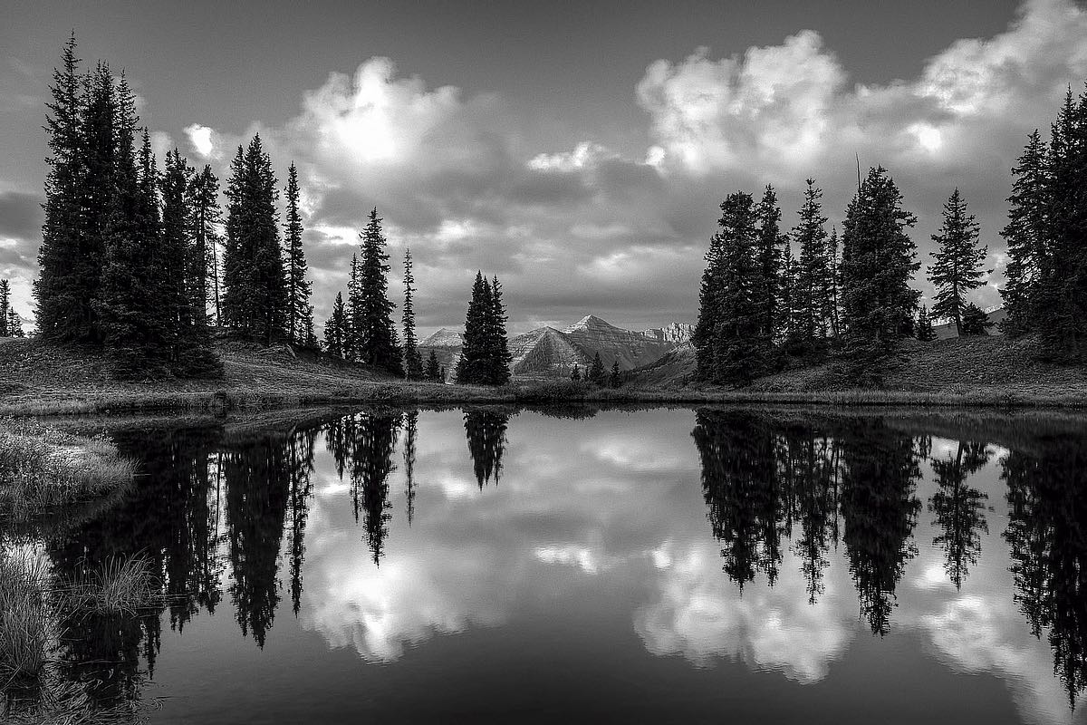 Paradise Reflection