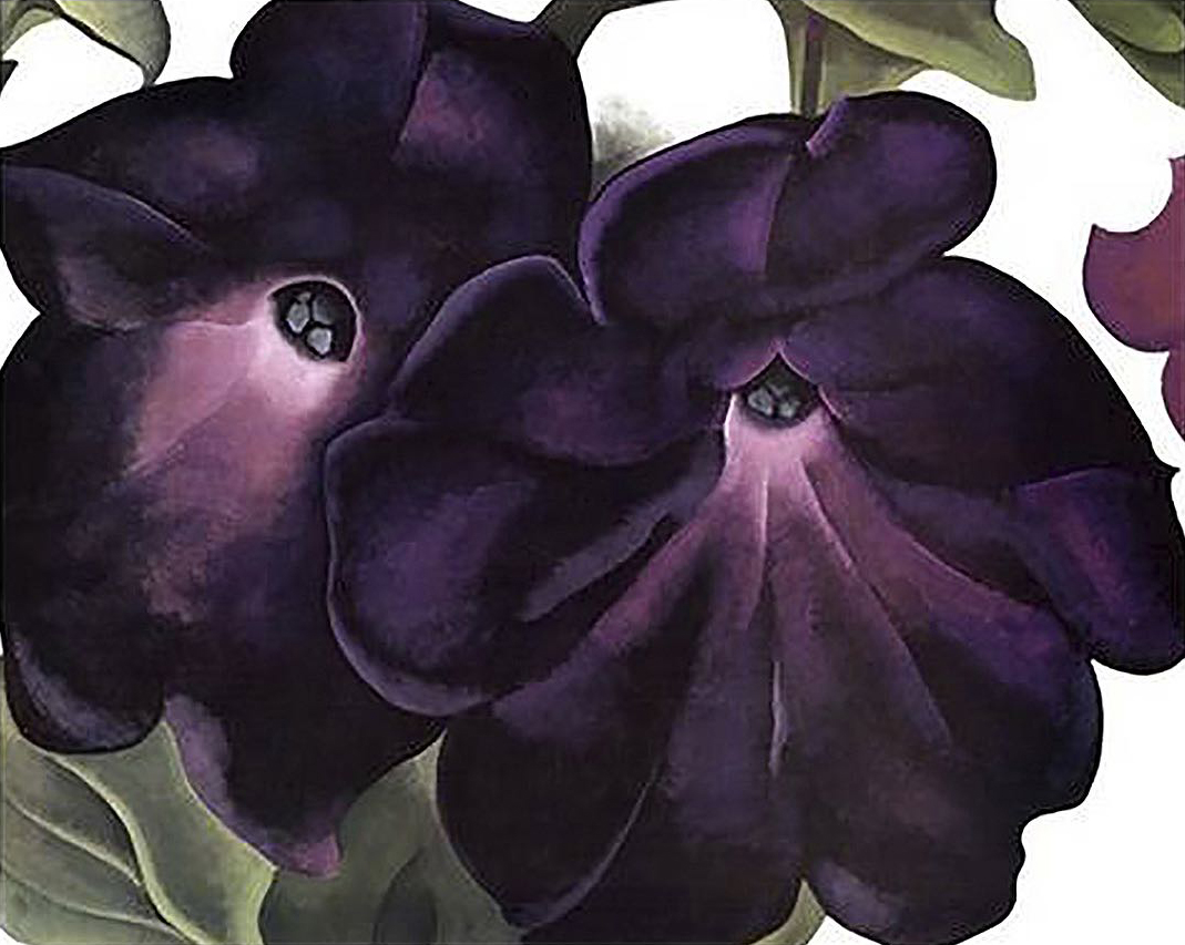 Black and Purple Petunias