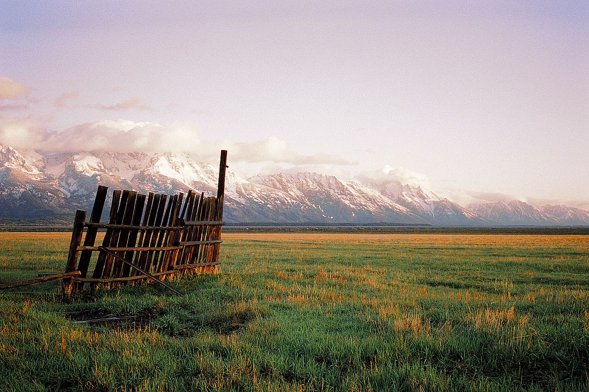 Fence in Jackson