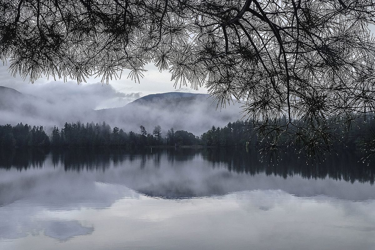 Rainy Day - Cooper Lake