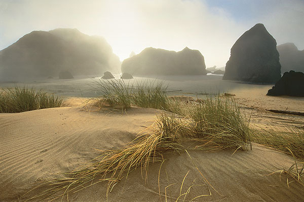Morning Fog Lifting