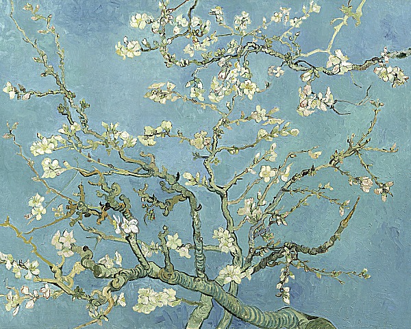 Almond Blossoms, 1890