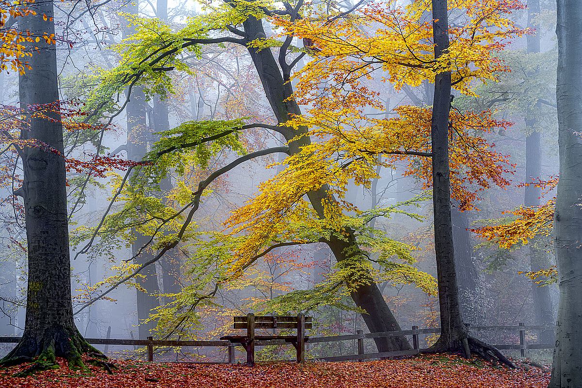 Take a Seat and Enjoy
