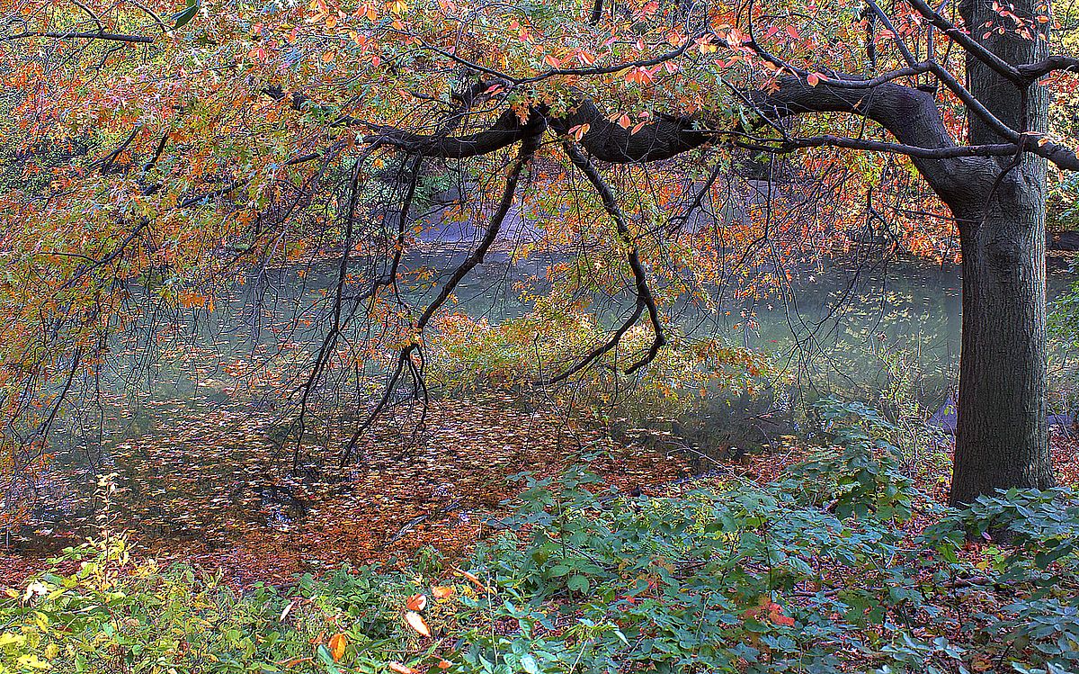 Fall Retreat