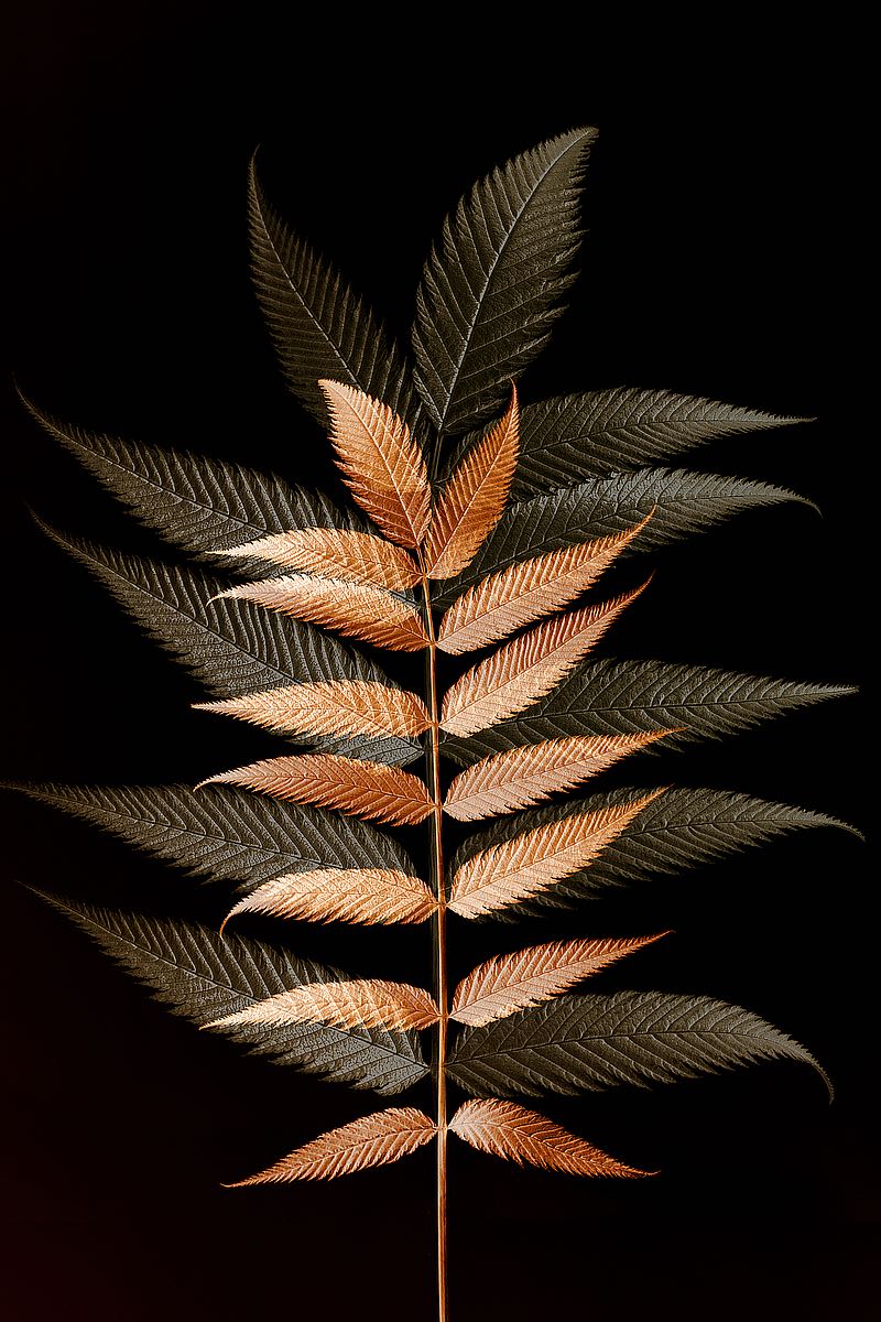 Fall Leaves 6