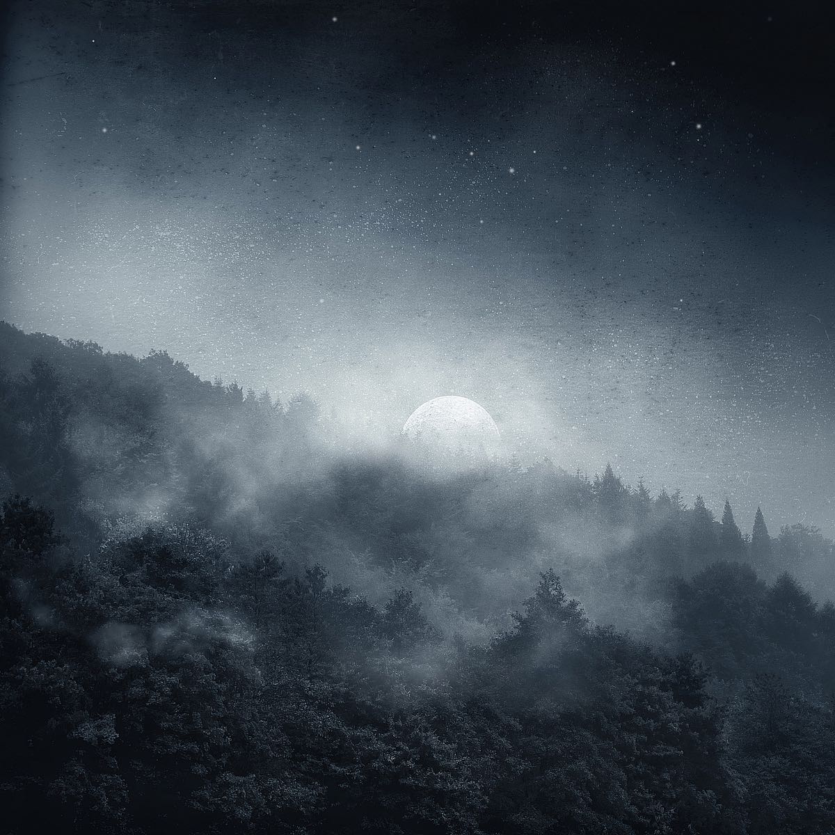 Night Shadows