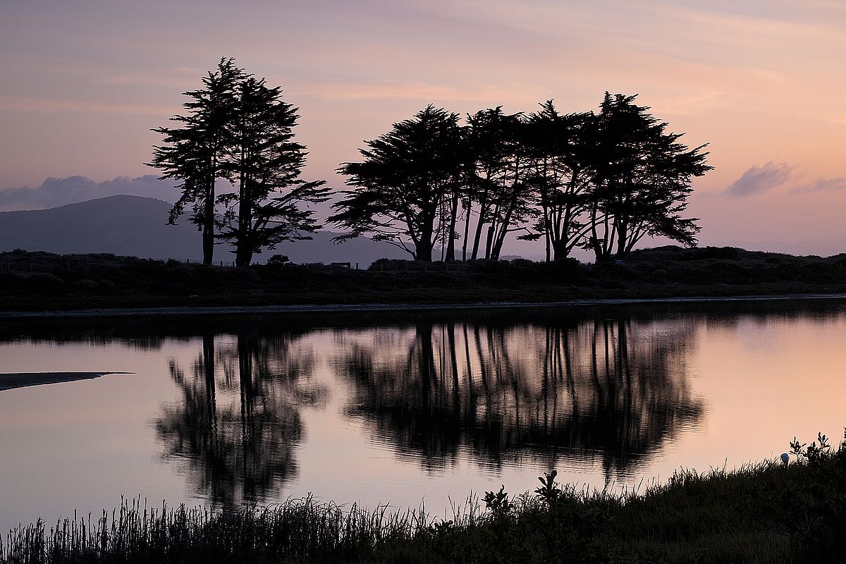 Crissy Field