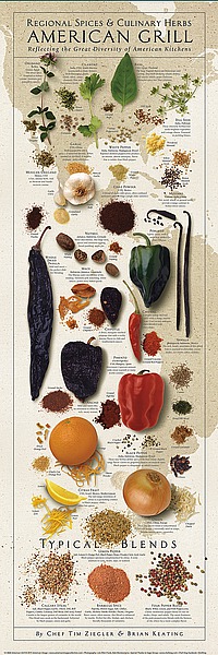 Regional Spices - American Grill