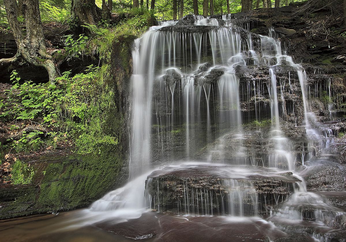 Gunn Brook Falls