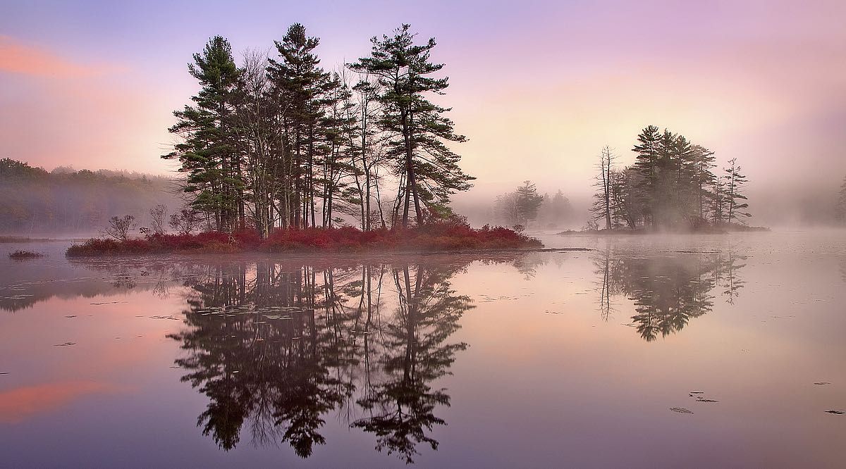 Islands In the Pink