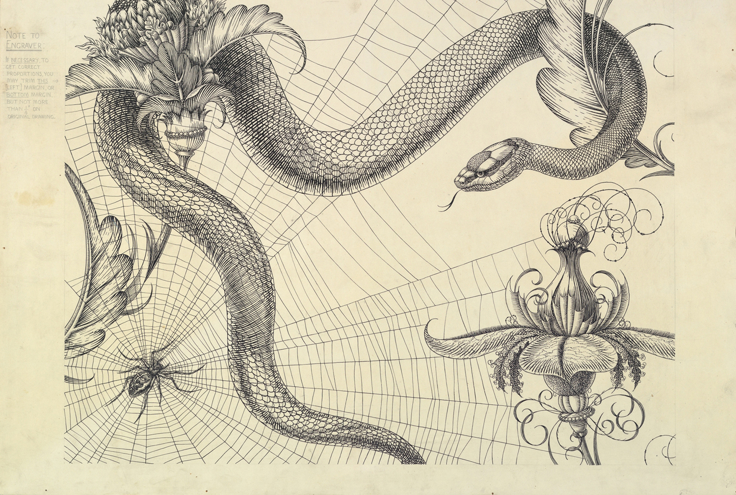 Spider, Web, Snake and Flowers, The Duchess of Malfi and The White Devil, c. 1930