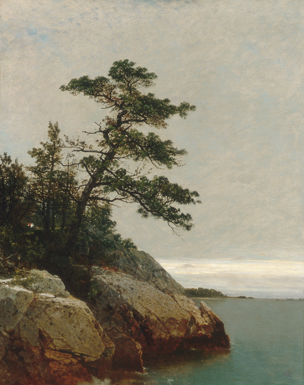The Old Pine, Darien, Connecticut, 1872