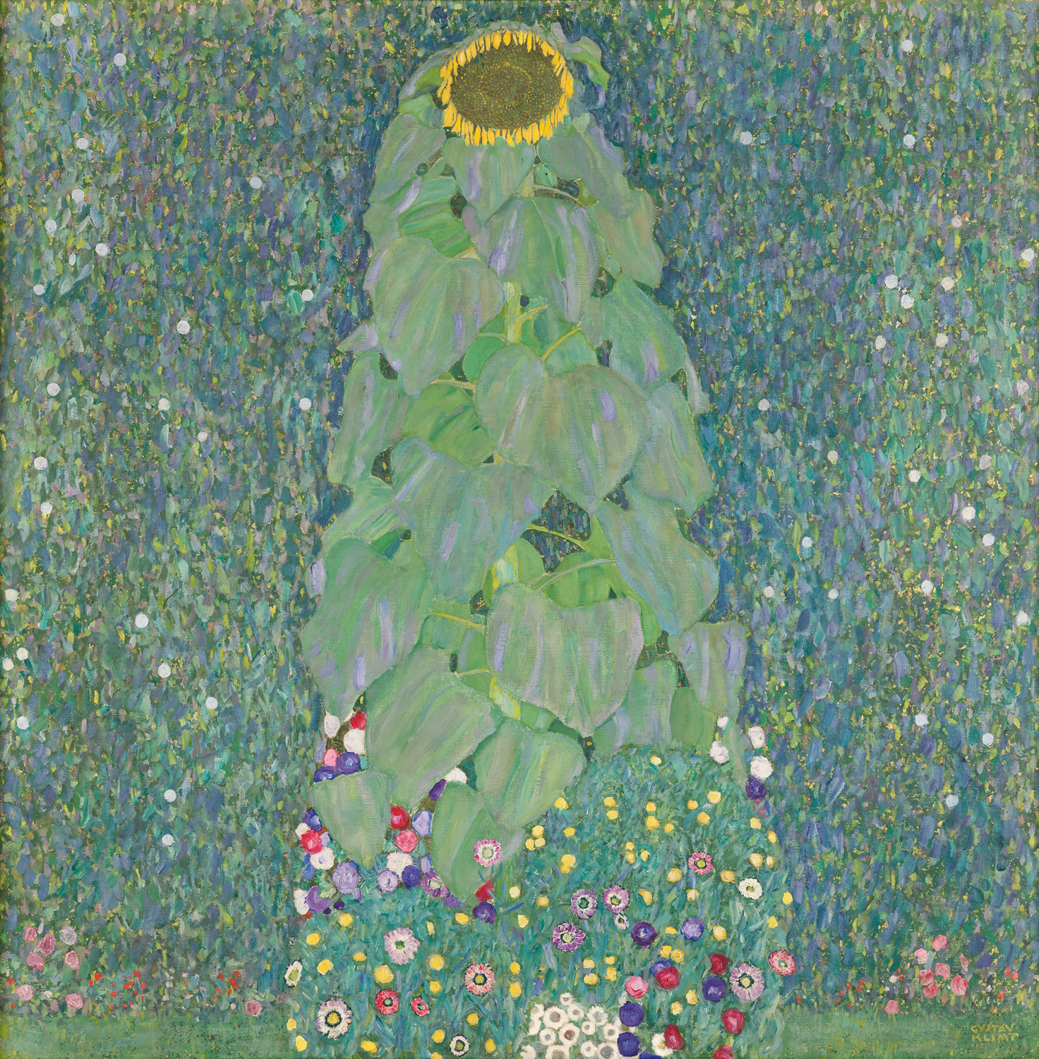 Sunflower, 1907-08