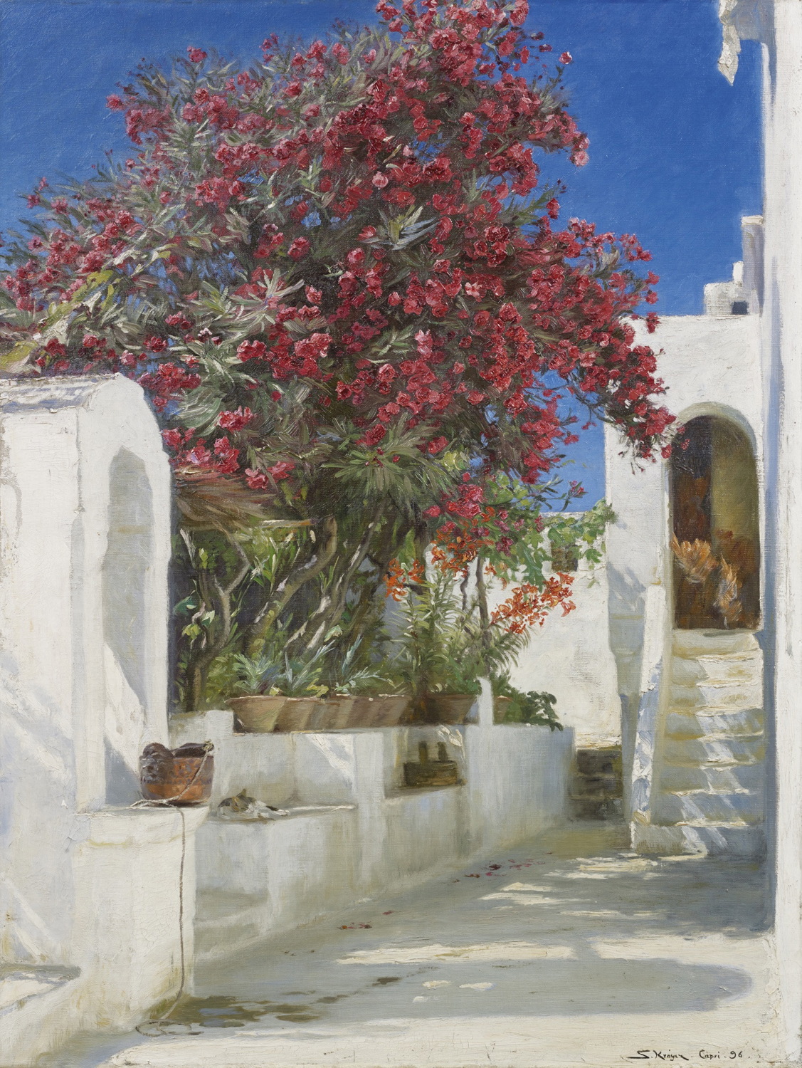 Oleanders in Bloom, Capri, 1896