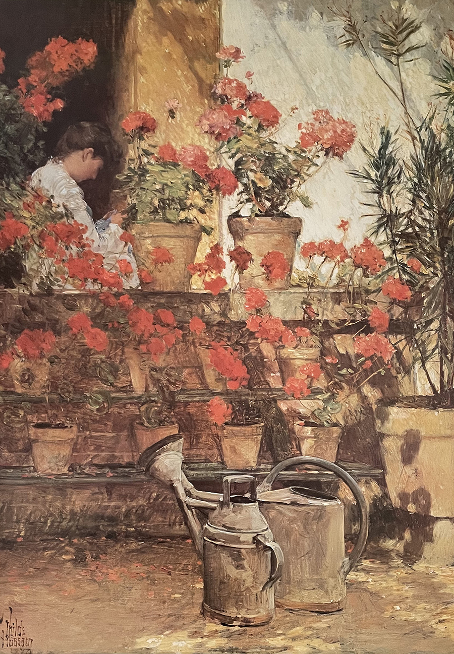 Geraniums, 1888