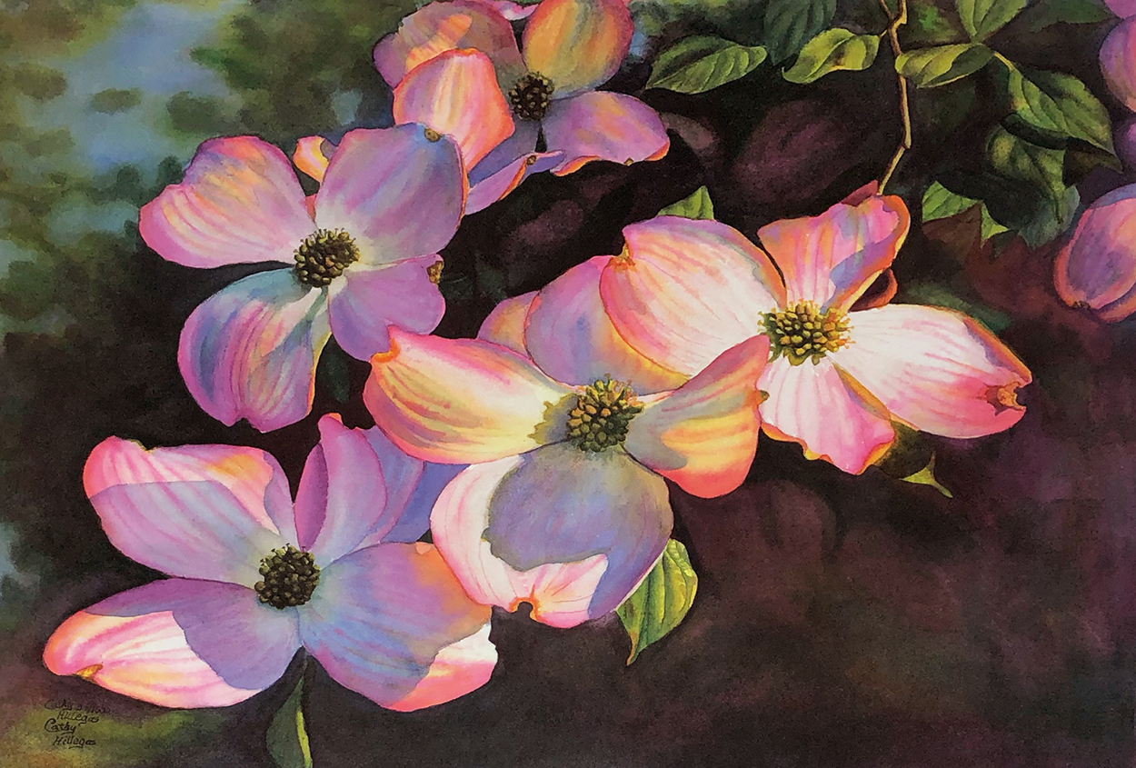Pink Dogwoods