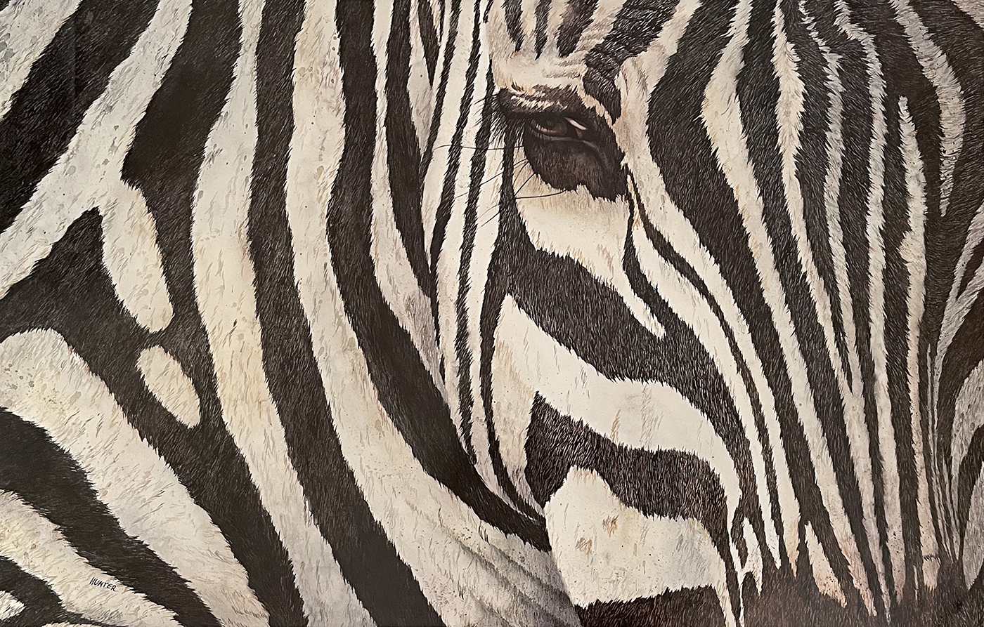 Stripes