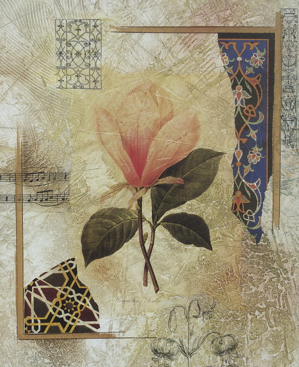 Magnolia