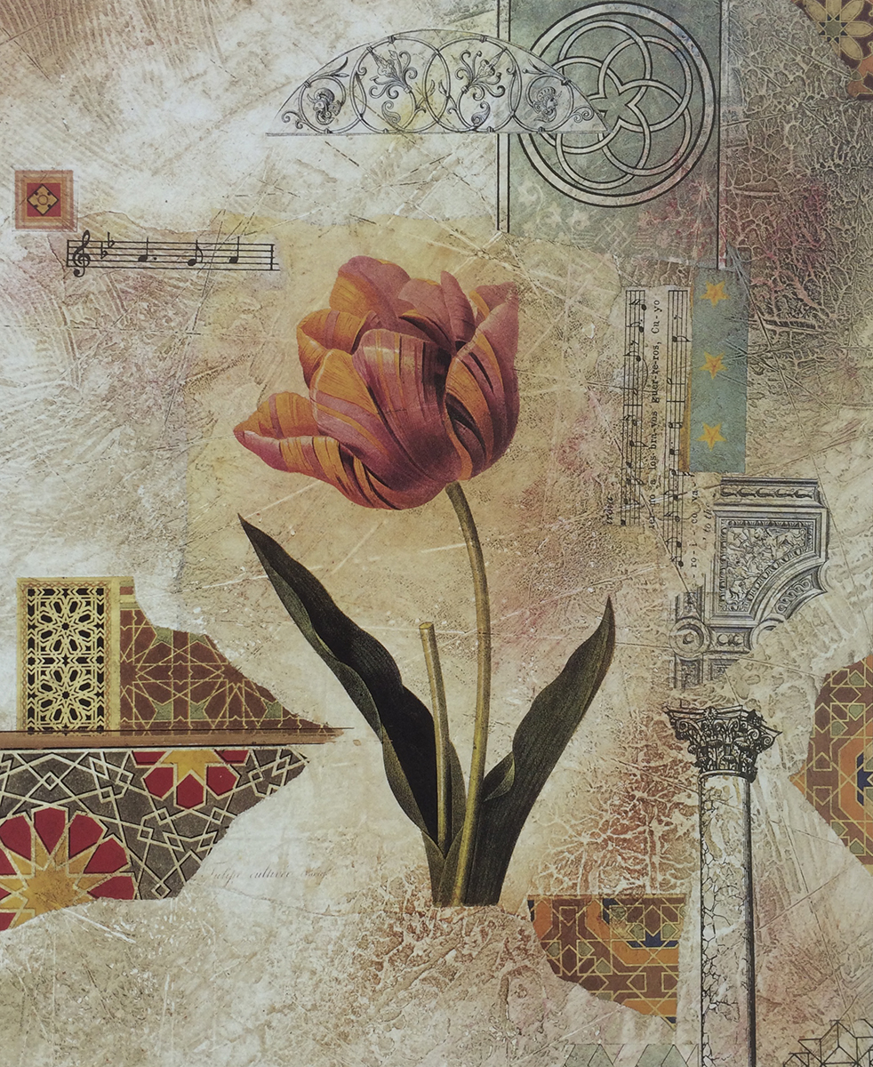 Tulip