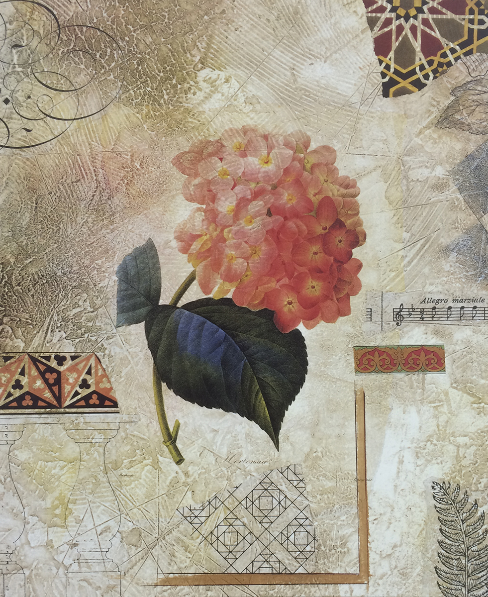 Hydrangea