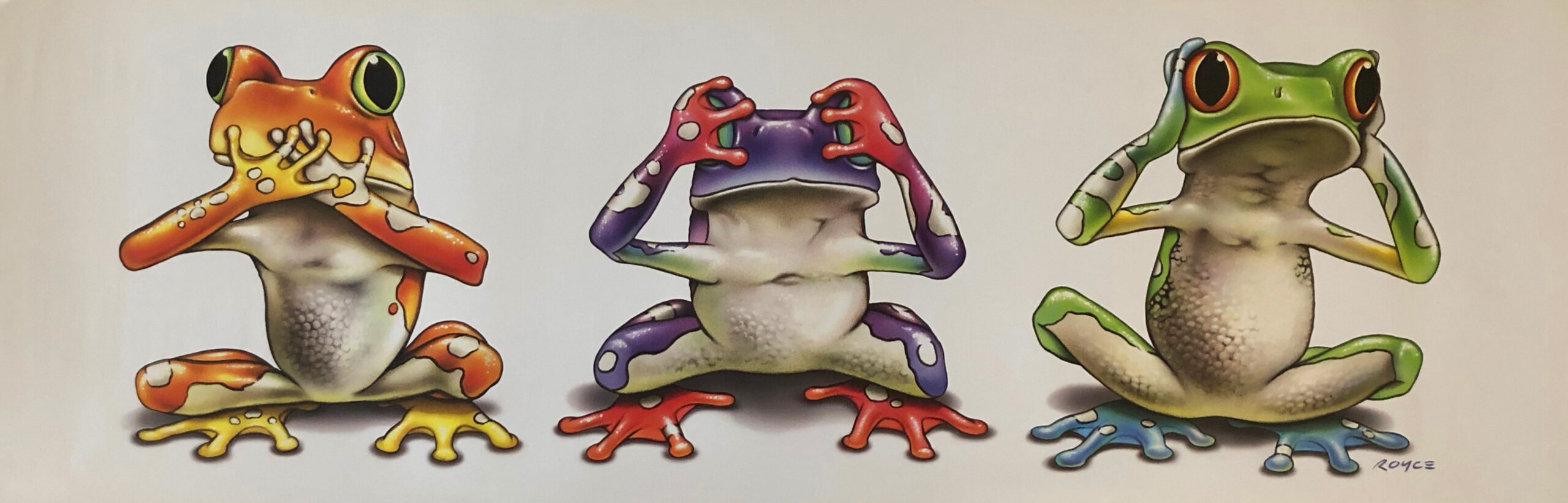 No Evil Frogs