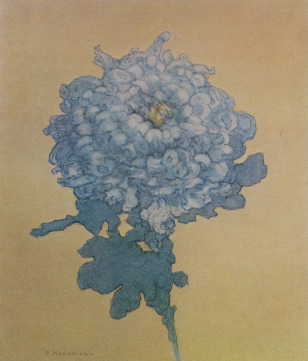 Blue Chrysanthemum