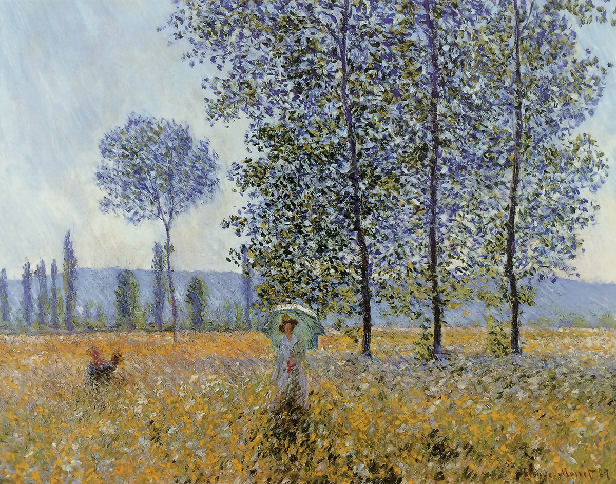 Sunlight Under the Poplars