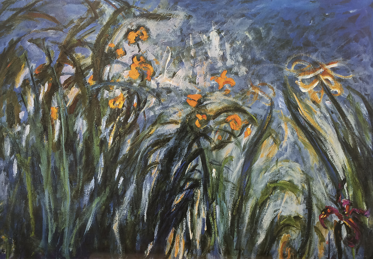 Irises
