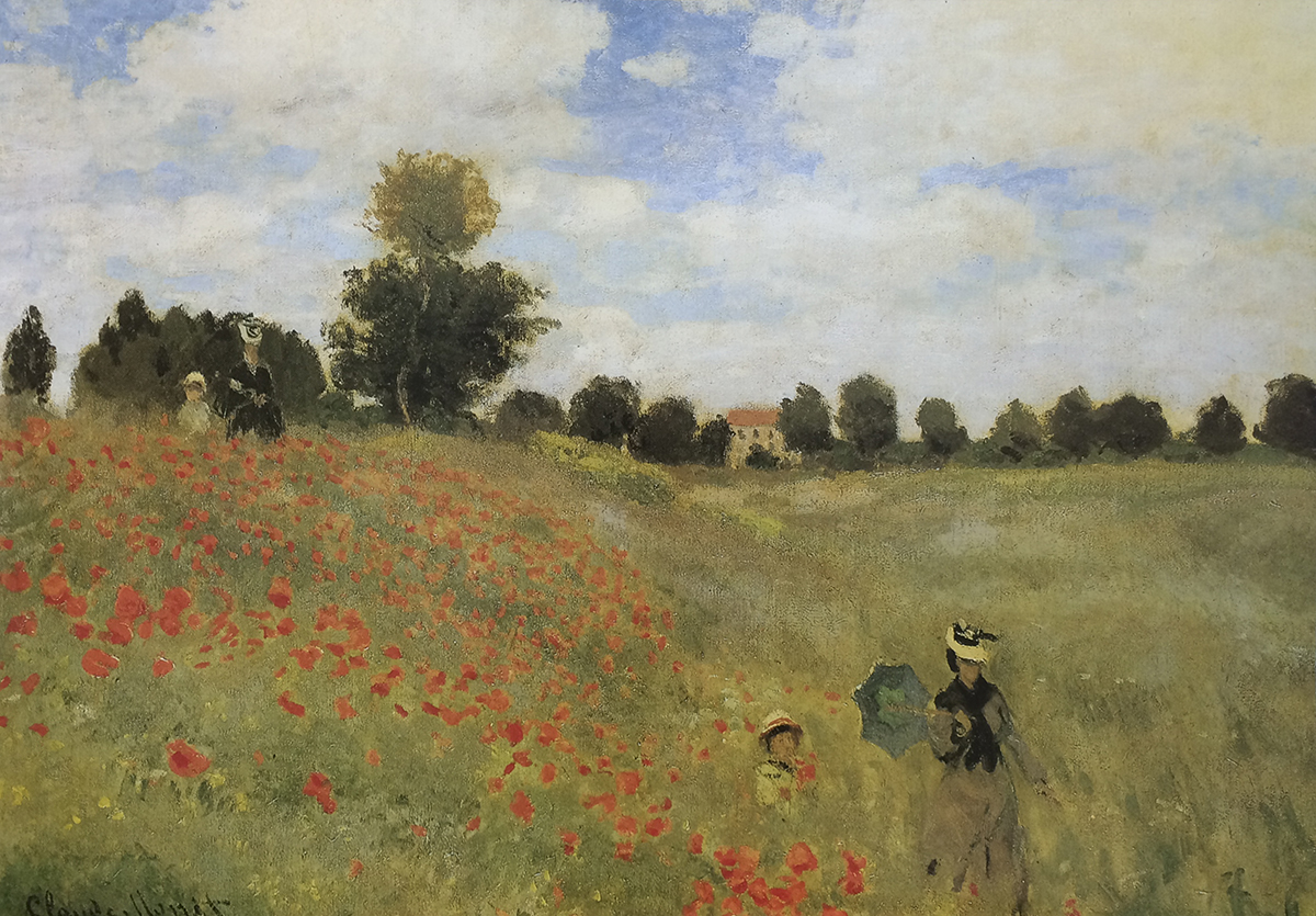 Poppy Field