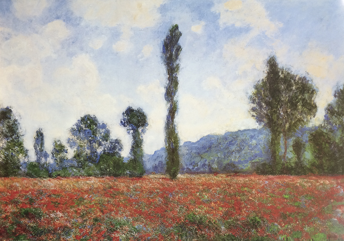 Field of Poppies