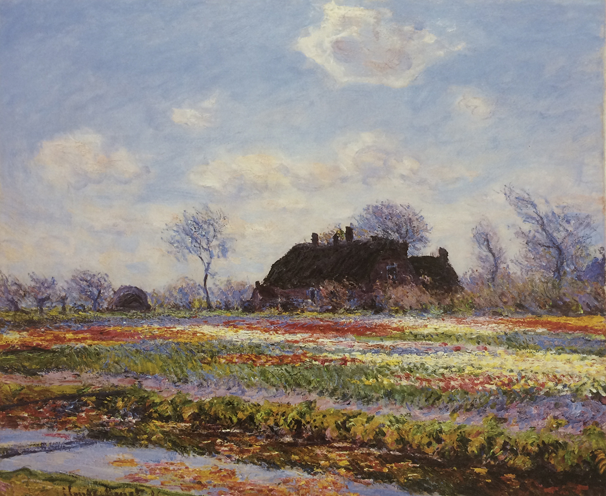 Tulip Fields At Sassenheim, Near Lieden