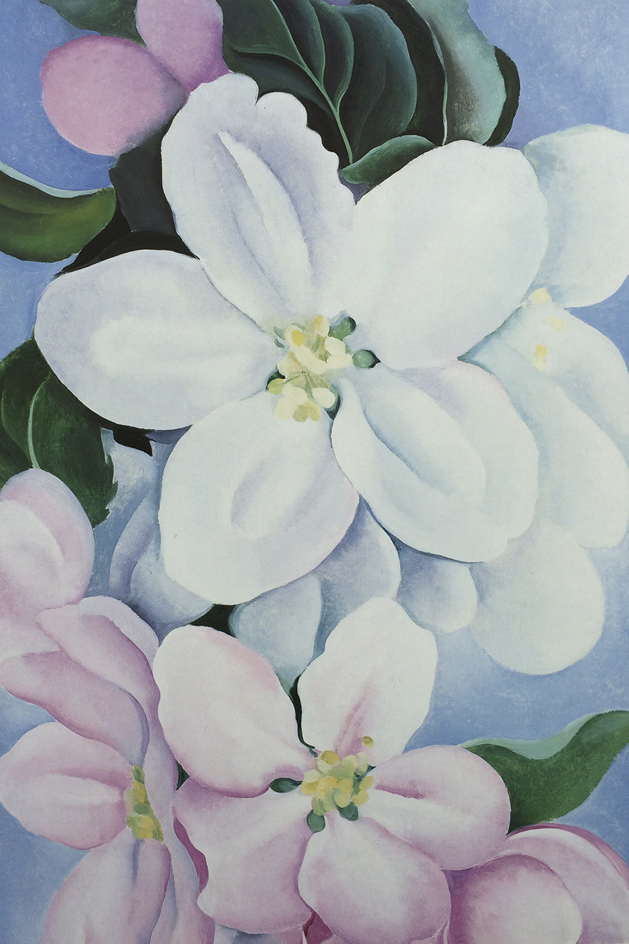 Apple Blossoms, 1930