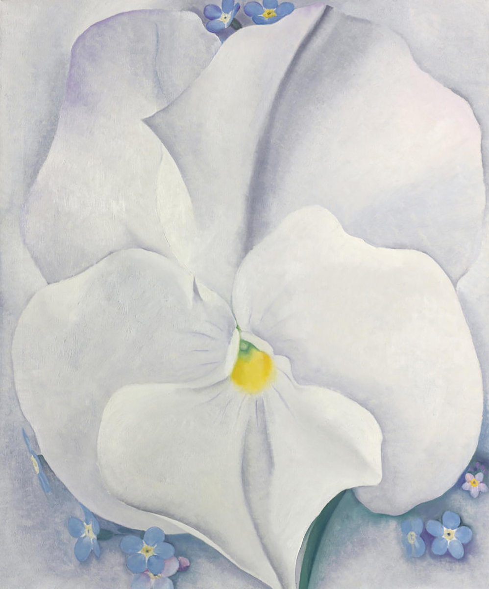 White Pansy, 1927