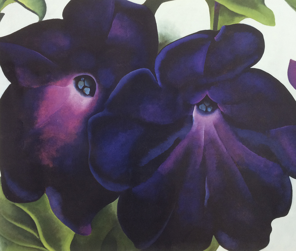 Black and Purple Petunias, 1924