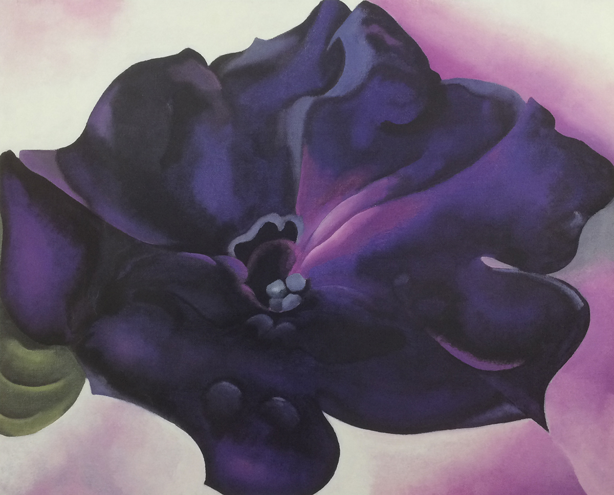 Petunia, 1924