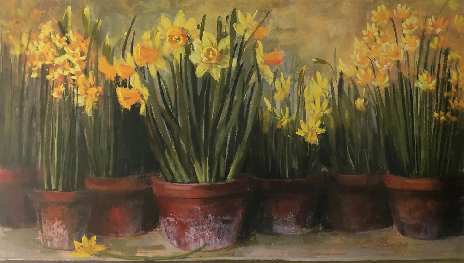Jeannine's Daffodils