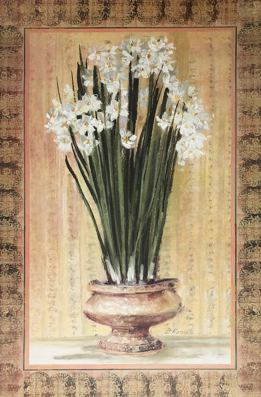 Potted Paperwhites
