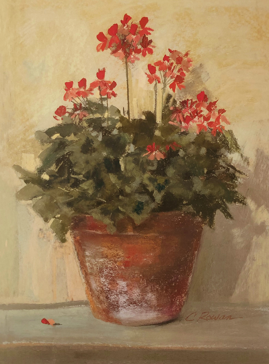 Potted Geraniums I
