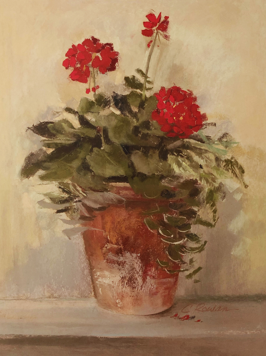 Potted Geraniums II