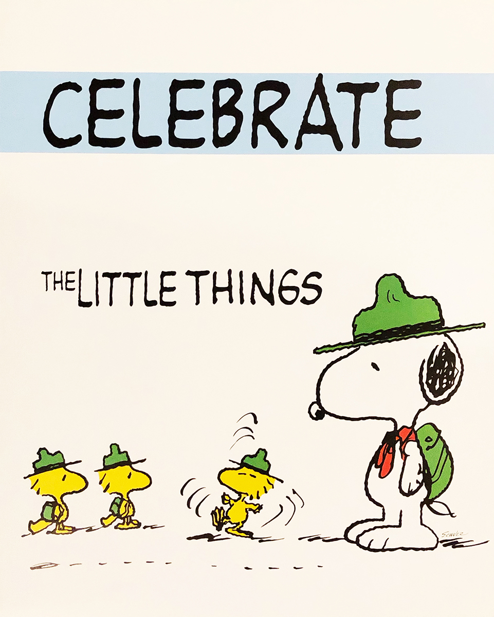 Celebrate the Little Things