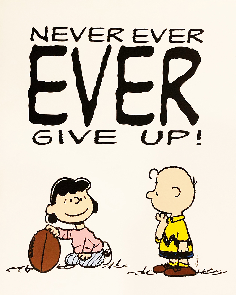 Never Ever EVER Give Up !