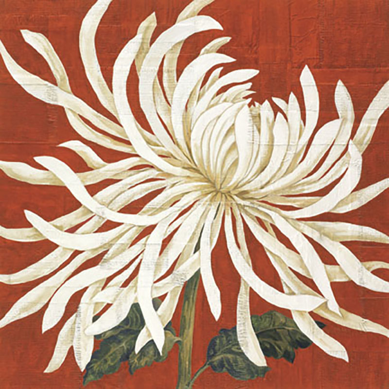 Spider Mum I