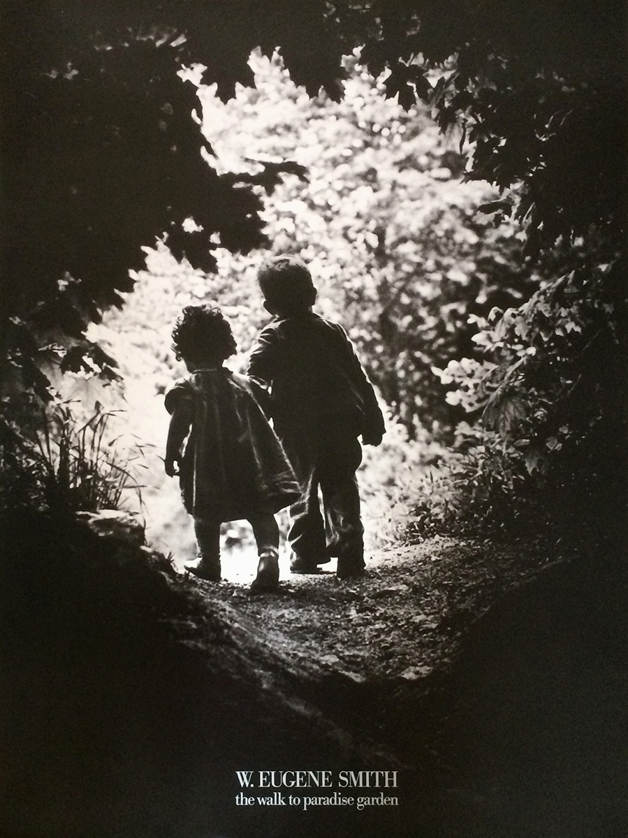 The Walk to Paradise Garden