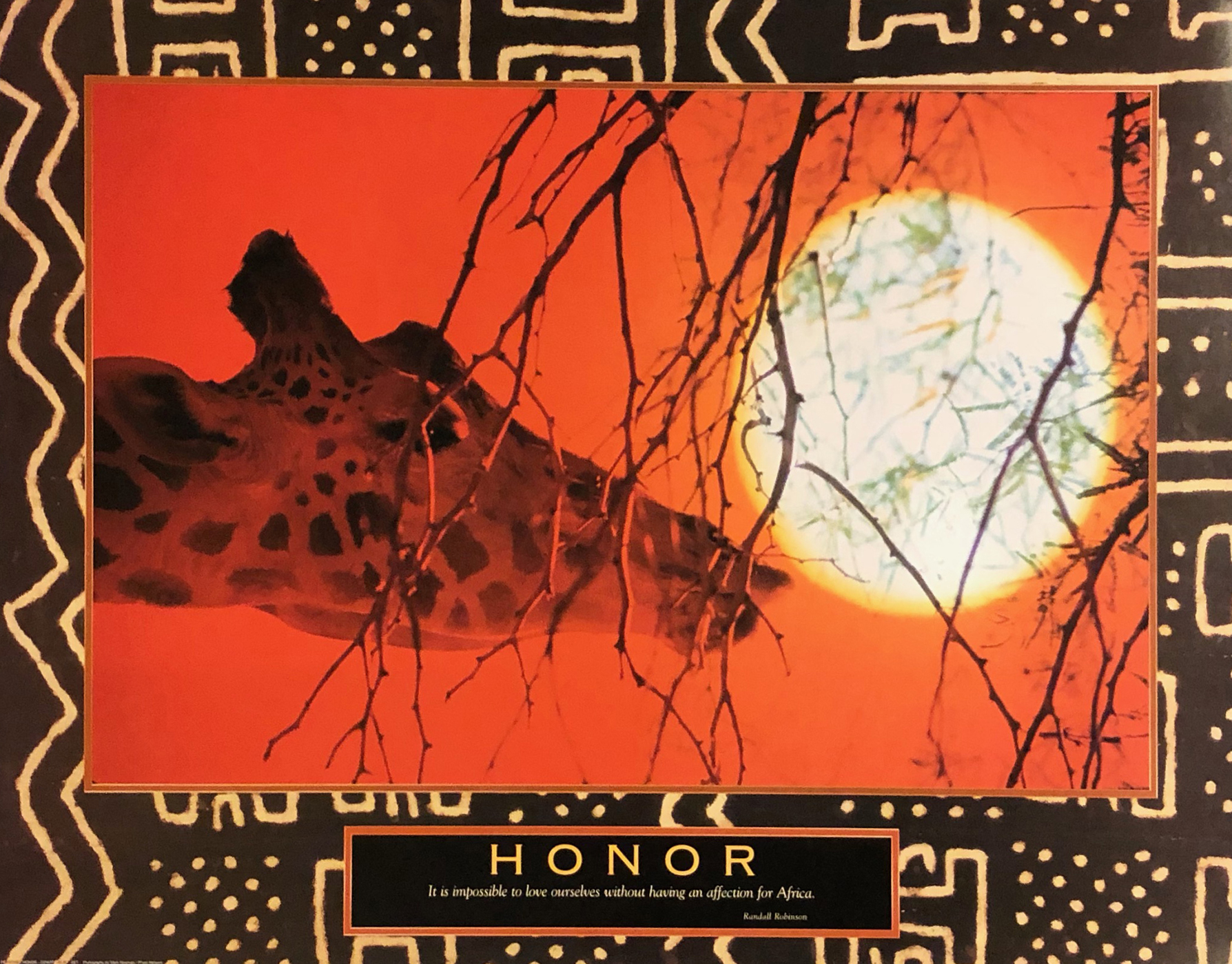 Honor - Giraffe At Sunset