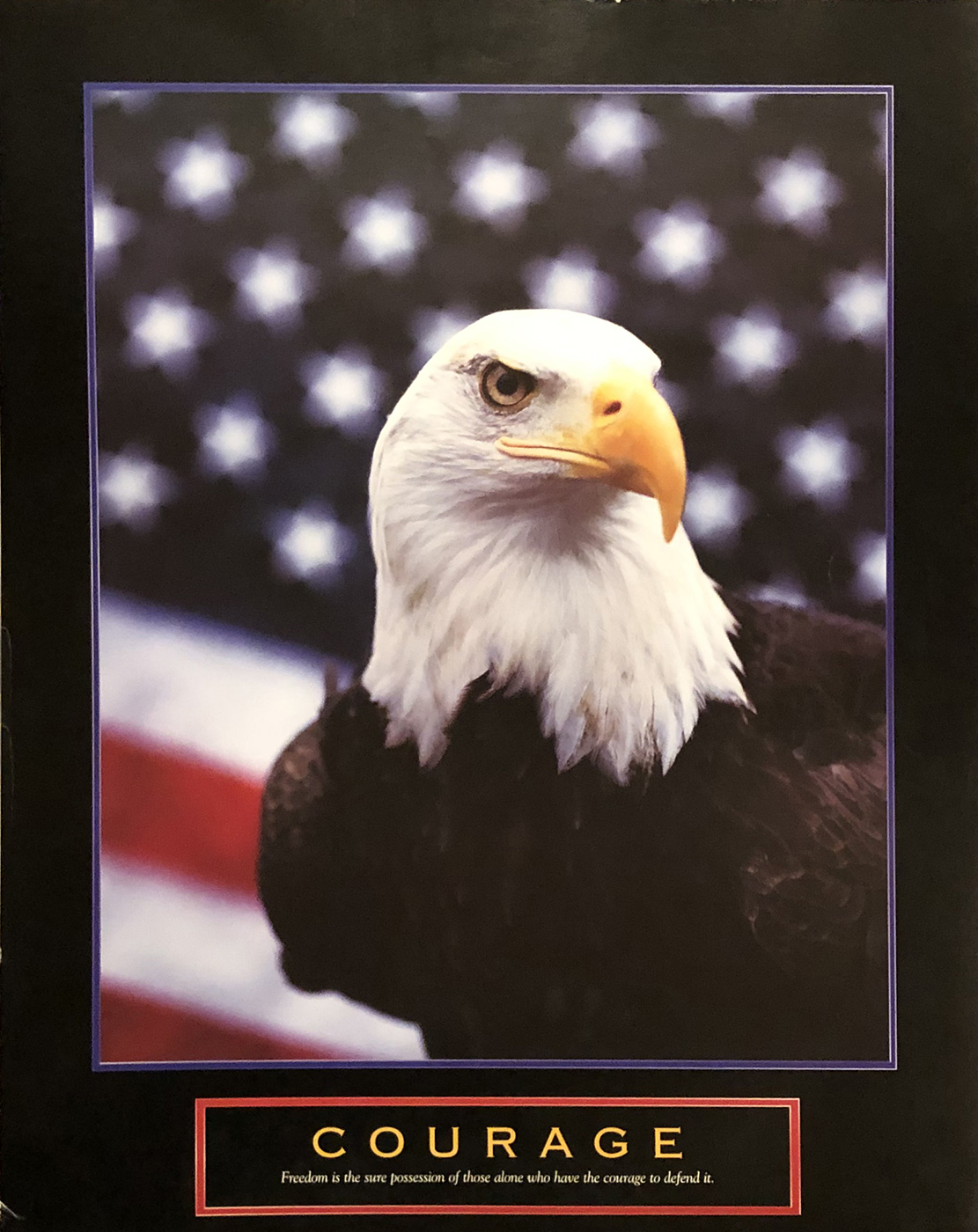 Courage - Eagle and Flag