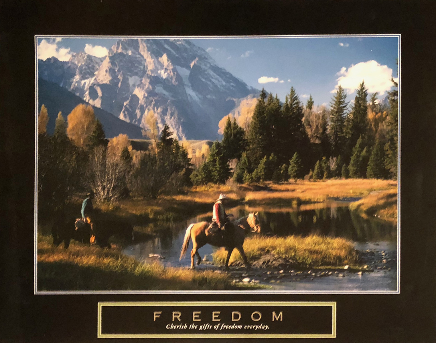 Freedom - Cowboys